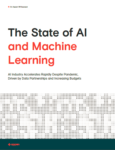 The State of AI and Machine Learning