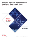 DataOps Dilemma: Survey Reveals Gap in the Data Supply Chain